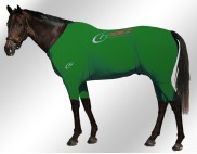 EQUINE-ACTIVE-SUIT-PRINTED-GREEN-
