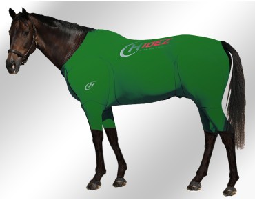 EQUINE-ACTIVE-SUIT-PRINTED-GREEN-