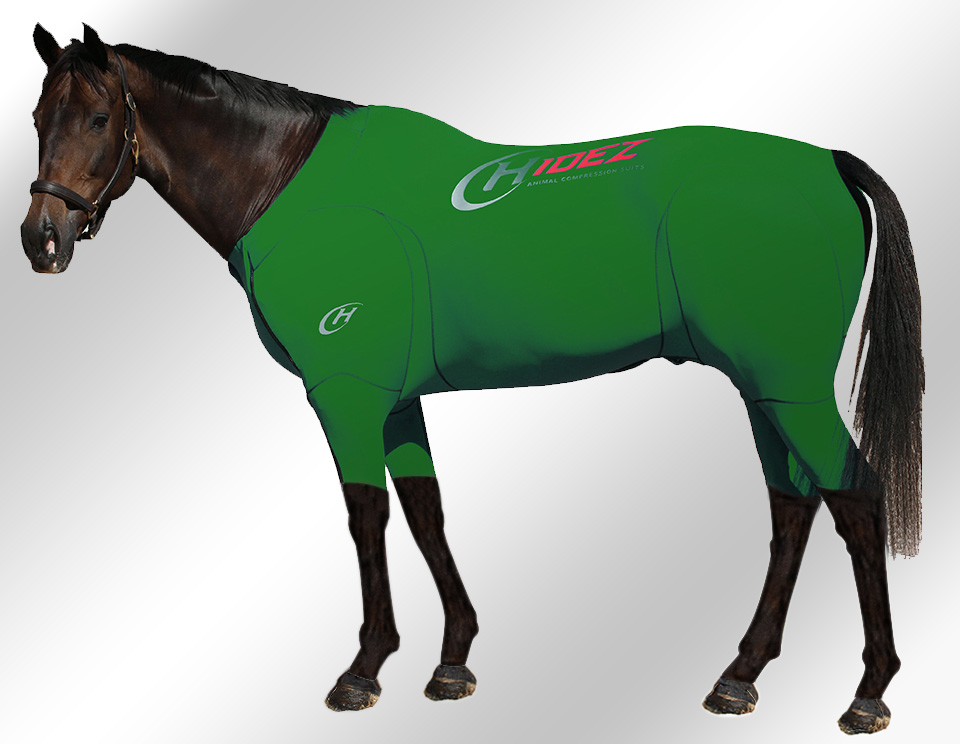 EQUINE-ACTIVE-SUIT-PRINTED-GREEN-