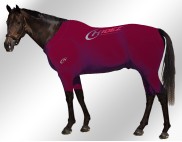 EQUINE-ACTIVE-SUIT-PRINTED-MAROON