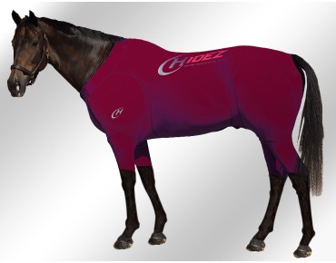 EQUINE-ACTIVE-SUIT-PRINTED-MAROON