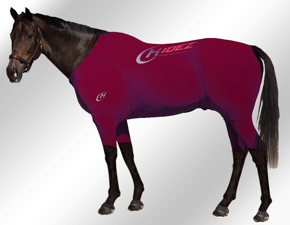 EQUINE-ACTIVE-SUIT-PRINTED-MAROON EQUINE-ACTIVE-SUIT-PRINTED-MAROON
