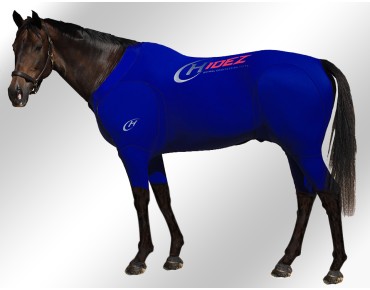EQUINE-ACTIVE-SUIT-PRINTED-NAVY