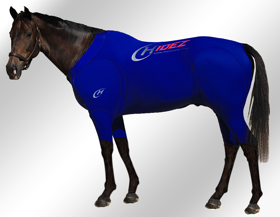 EQUINE-ACTIVE-SUIT-PRINTED-NAVY EQUINE-ACTIVE-SUIT-PRINTED-NAVY