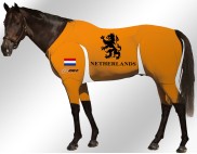 EQUINE-ACTIVE-SUIT-PRINTED-NETHERLANDS-SUIT