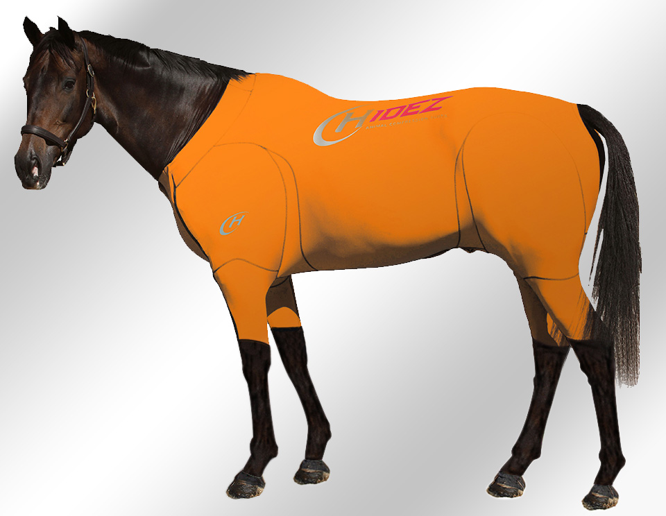 EQUINE-ACTIVE-SUIT-PRINTED-ORANGE-