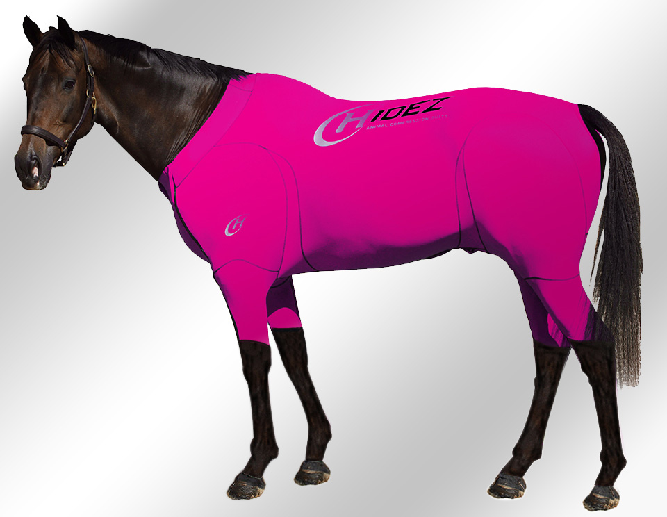 EQUINE-ACTIVE-SUIT-PRINTED-PINK EQUINE-ACTIVE-SUIT-PRINTED-PINK