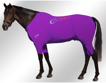 EQUINE-ACTIVE-SUIT-PRINTED-PURPLE