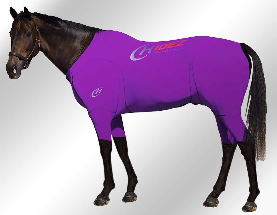 EQUINE-ACTIVE-SUIT-PRINTED-PURPLE EQUINE-ACTIVE-SUIT-PRINTED-PURPLE