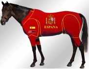 EQUINE-ACTIVE-SUIT-PRINTED-SPAIN-SUIT-2