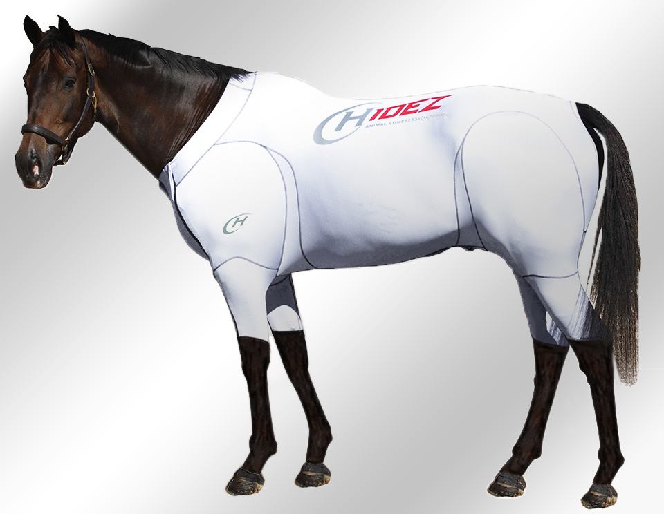 EQUINE-ACTIVE-SUIT-PRINTED-WHITE