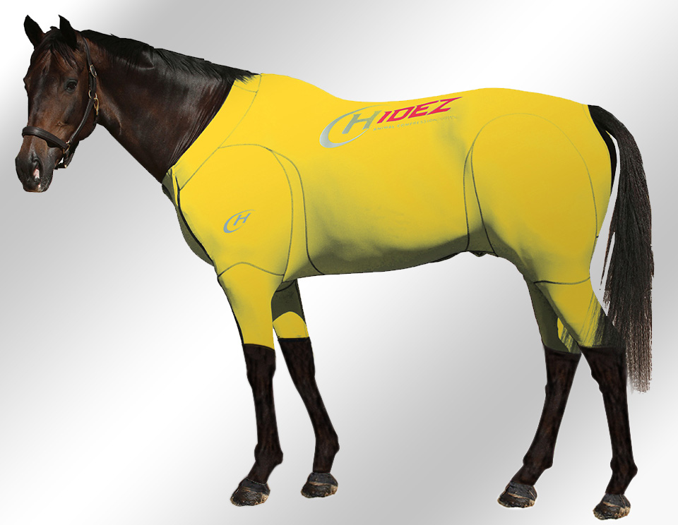 EQUINE-ACTIVE-SUIT-PRINTED-YELLOW-
