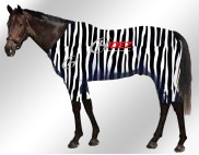 EQUINE-ACTIVE-SUIT-PRINTED-ZEBRA