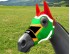 SOUTH AFRICA