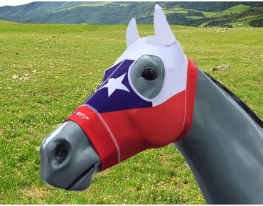 USA USA