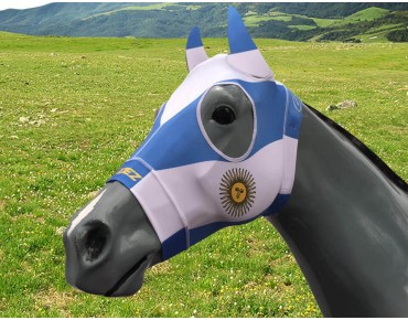 ARGENTINA ARGENTINA
