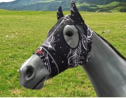 FEATHERS BLACK WHITE