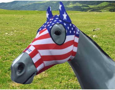 USA USA