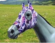 WATER COLOUR FEATHERS