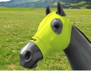 FLURO YELLOW