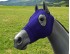 EQUINE COMPRESSION HOOD PURPLE