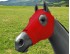 EQUINE COMPRESSION HOOD RED