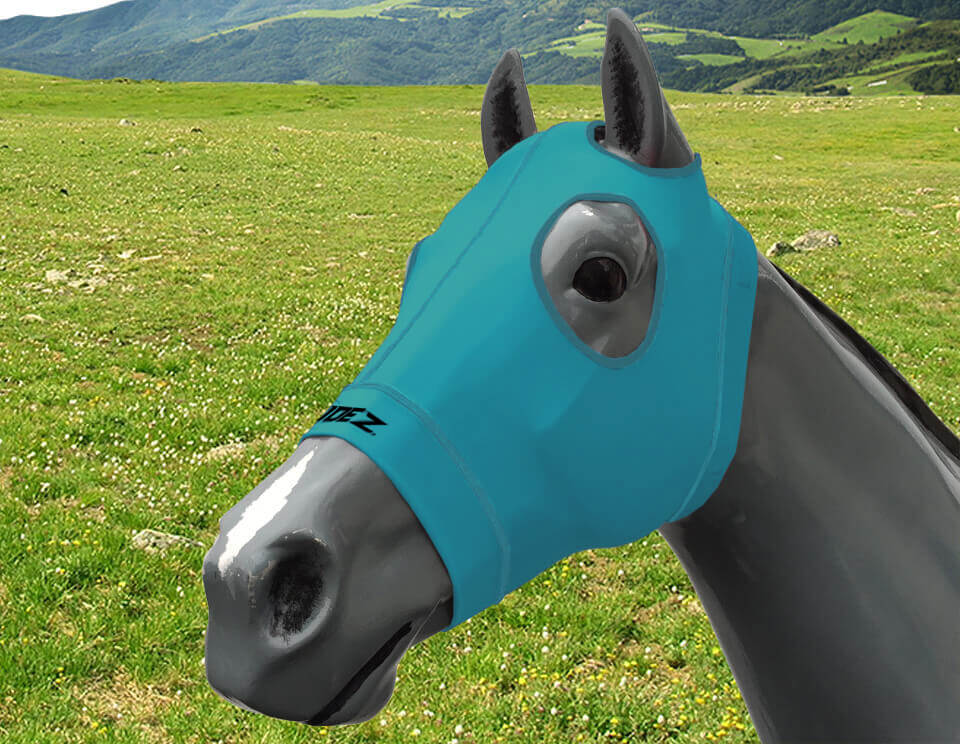 EQUINE COMPRESSION HOOD TURQUOISE