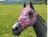 AZTEC PINK