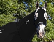 EQUINE COMPRESSION NECK BLACK