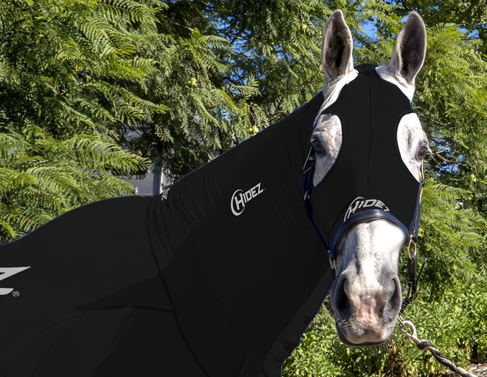 EQUINE COMPRESSION NECK BLACK