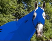 EQUINE COMPRESSION NECK BLUE