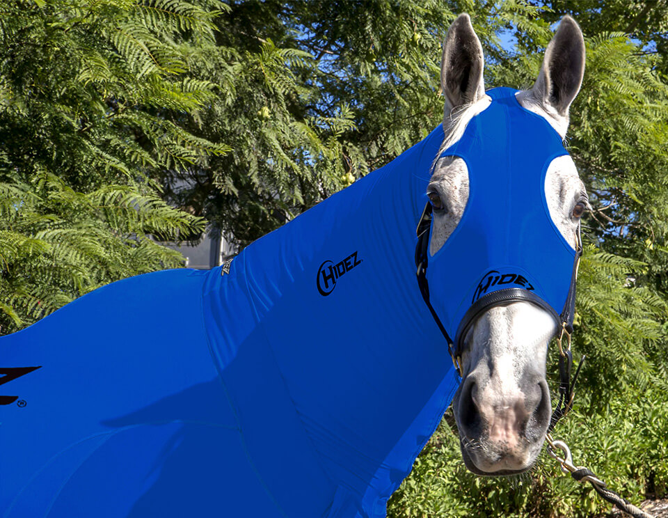 EQUINE COMPRESSION NECK BLUE