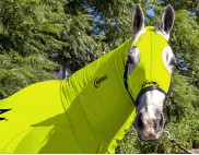 FLURO YELLOW