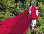 EQUINE COMPRESSION NECK FUCHSIA