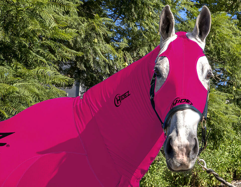 EQUINE COMPRESSION NECK FUCHSIA