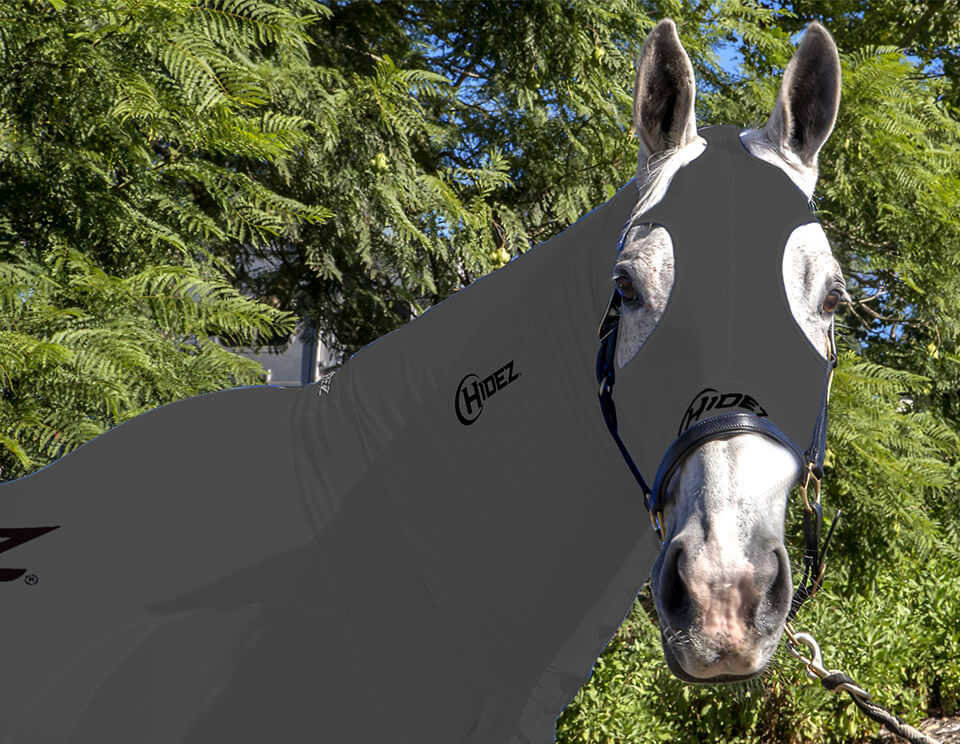 EQUINE COMPRESSION NECK GREY