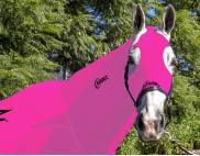 EQUINE COMPRESSION NECK MAGENTA