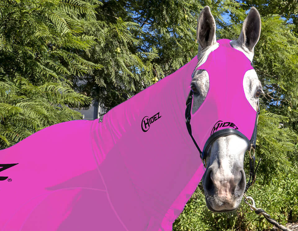 EQUINE COMPRESSION NECK MAGENTA