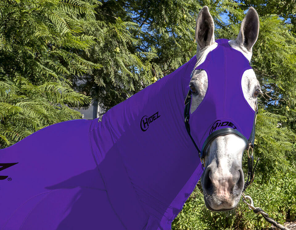 EQUINE COMPRESSION NECK PURPLE