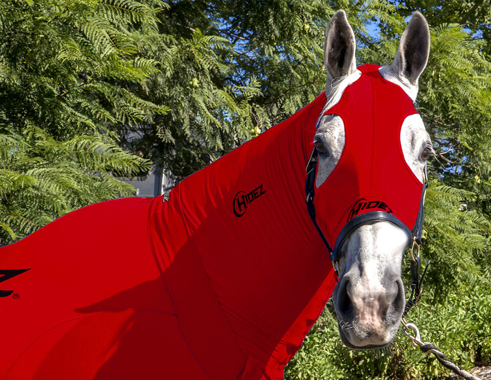 EQUINE COMPRESSION NECK RED