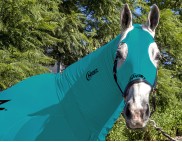 EQUINE COMPRESSION NECK TURQUOISE