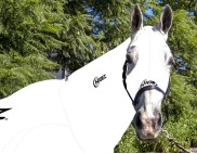 EQUINE COMPRESSION NECK WHITE