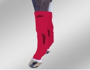 EQUINE ICE COMPRESSION SOCK FUCHSIA