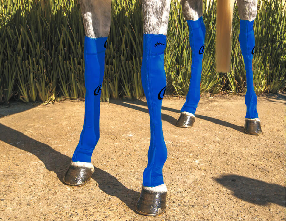 EQUINE COMPRESSION SOCK BLUE