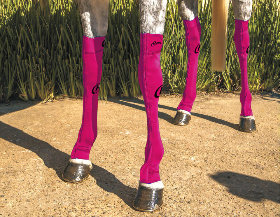 EQUINE COMPRESSION SOCK FUCHSIA