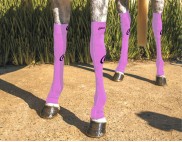 EQUINE COMPRESSION SOCK LAVENDER