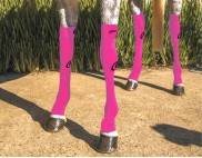 EQUINE COMPRESSION SOCK MAGENTA