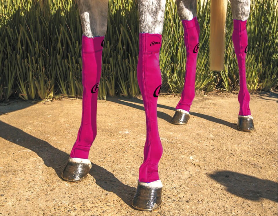 EQUINE COMPRESSION SOCK MAGENTA