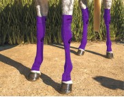 EQUINE COMPRESSION SOCK PURPLE