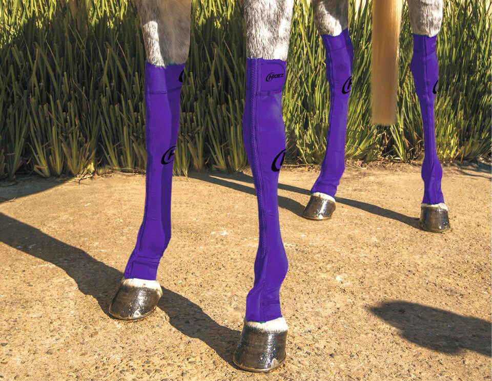 EQUINE COMPRESSION SOCK PURPLE